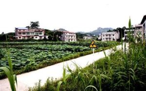 沈家坎村 沈家坎村