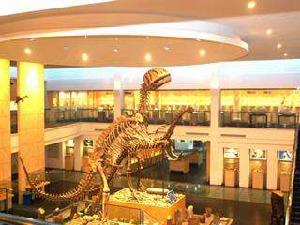 上海東方地質科普館 上海東方地質科普館