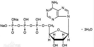 三磷酸腺苷二鈉
