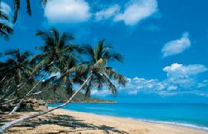 （圖）英屬維京群島