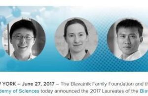 布拉瓦尼克獎 布拉瓦尼克獎