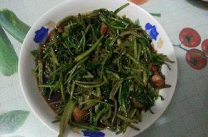 炒蘿蔔葉 炒蘿蔔葉
