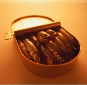 沙丁魚罐頭 沙丁魚罐頭