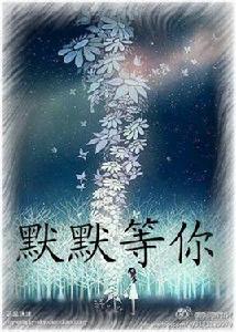 默默等你 默默等你