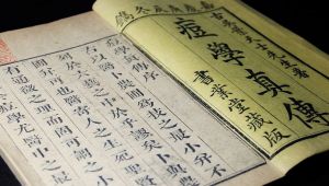 痘學真傳 痘學真傳