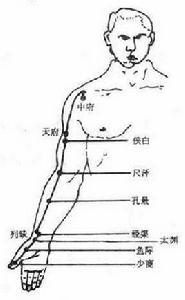 手太陰肺經穴