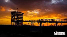 樹頂漫步 樹頂漫步