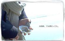 Jose與虎與魚們的全部圖片