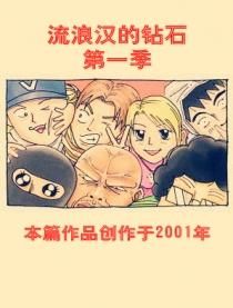 流浪漢的鑽石 流浪漢的鑽石