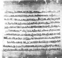 紙草書卷 紙草書卷