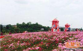 花木世界 花木世界