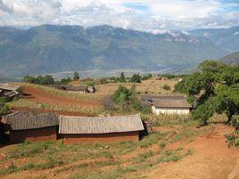 四台坡村 四台坡村