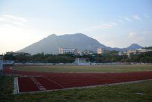 中華人民共和國第一屆青年運動會