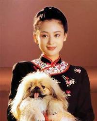 好好工作[陳紅演唱歌曲]