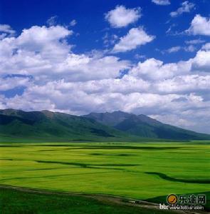 青海青海湖國家級自然保護區