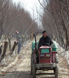 塔爾拉克鄉 塔爾拉克鄉