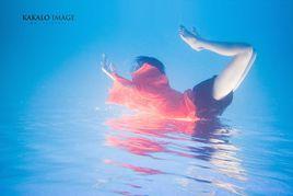 飛向夢想的延續 飛向夢想的延續