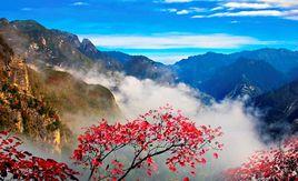 蘭英大峽谷 蘭英大峽谷