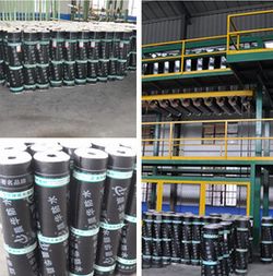 SBS防水卷材 SBS防水卷材