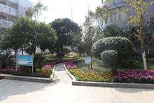 郴州市第十五中學