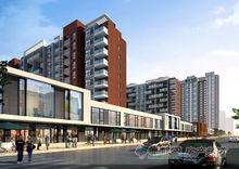 安聯項目圖片集