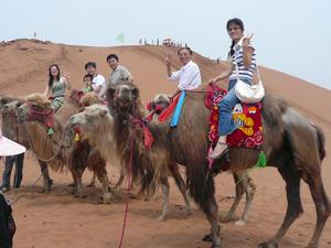 中華攬勝 中華攬勝