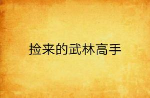 撿來的武林高手