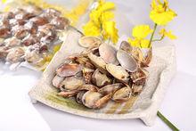 嘎啦[蛤蜊的別稱]