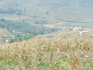石牛坪村 石牛坪村