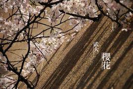 櫻花樹下[2015年謝江南執導的電影]