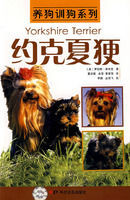 養狗訓狗系列:約克夏梗 養狗訓狗系列:約克夏梗