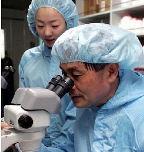 圖為黃禹錫2005年5月29日在首爾國立大學做實驗的資料照片