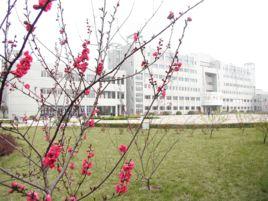 阜陽師範學院教育系 阜陽師範學院教育系