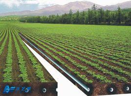 節水灌溉技術[農業灌溉技術]