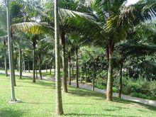 銀湖山郊野公園