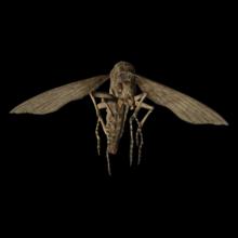 生化危機7[Capcom出品的《生化危機》系列的第八部]