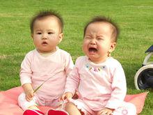 雙胞胎[胎生動物一次懷胎生下兩個個體]