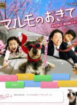 MARUMO的規定 MARUMO的規定