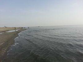 博湖金沙灘 博湖金沙灘