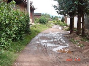 廟東自然村 廟東自然村