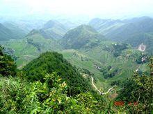 分水鎮[重慶市萬州區]