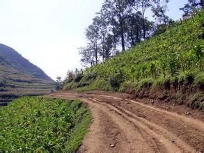 雷家自然村 雷家自然村