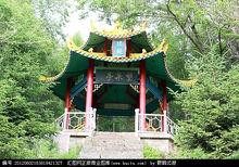 王樹清[第三屆全國造林綠化十大標兵之一]