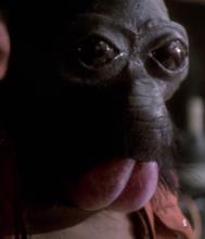 龐達&middot;巴巴