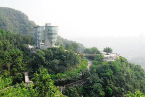 綠地覆蓋率 綠地覆蓋率