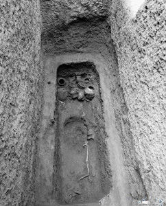 秦邑（李崖遺址墓坑）