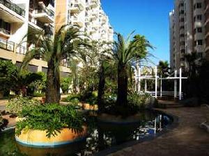 中林佳湖 中林佳湖