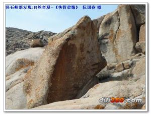 天然藝術雕塑-俠骨柔情 阮國春 發現、拍攝