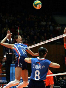 浙江女排 浙江女排