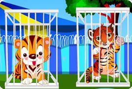 飢餓的小老虎 飢餓的小老虎